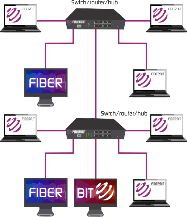 Hybrid Network Topologies